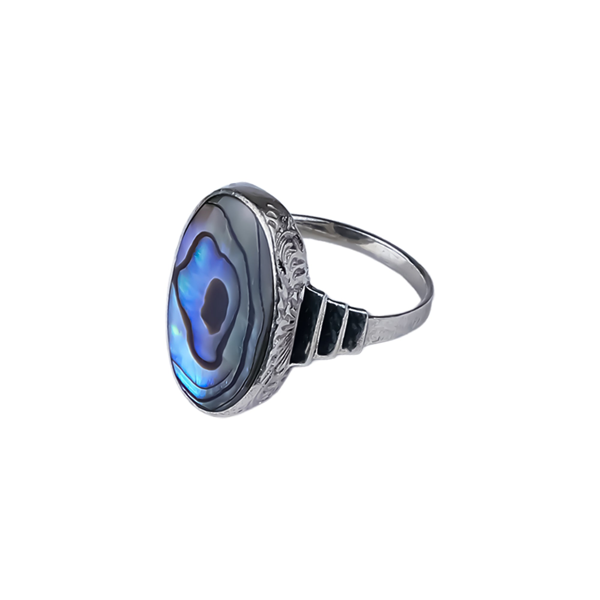 خاتم صدفي - صدفة أبلون