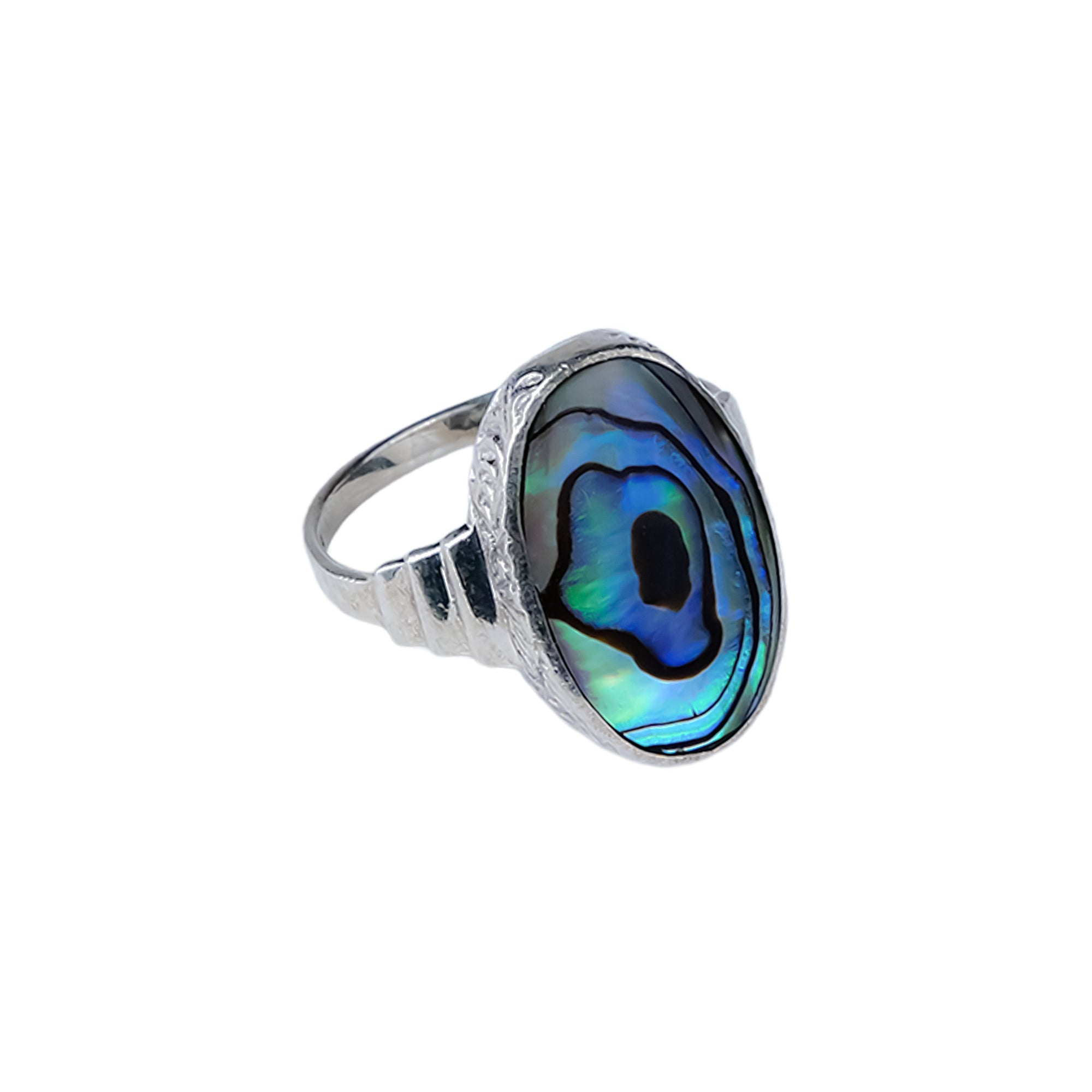 خاتم صدفي - صدفة أبلون